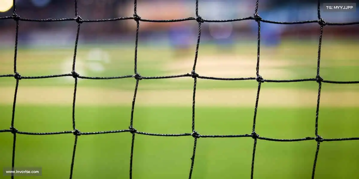 PA视讯集团打破常规,在运动中遇见更好的自己!🚴♀️💥